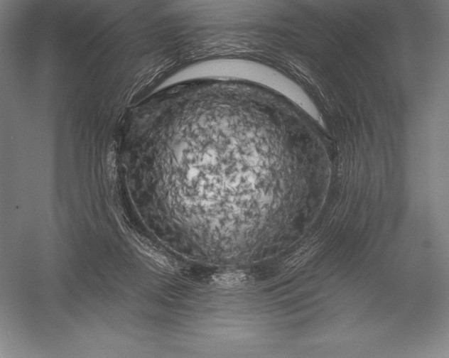 X0000056340362200509091536