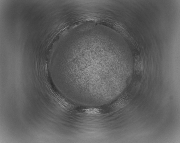 X0000056340363200509091536