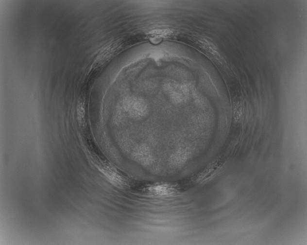 X0000056340365200509091536