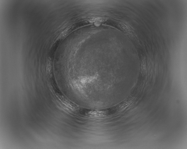 X0000056340367200509091536