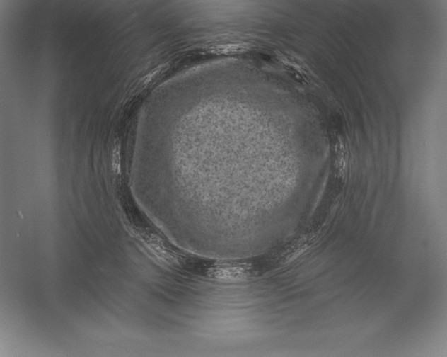 X0000056340368200509091536