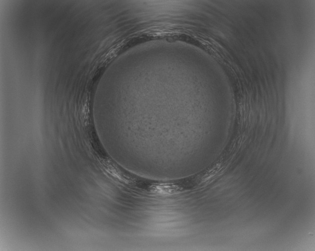 X0000056340372200509091536