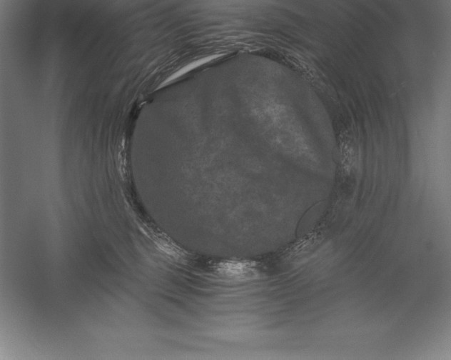 X0000056340375200509091536