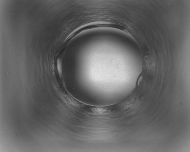 X0000056340380200509091536