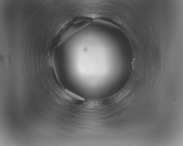 X0000056340384200509091536