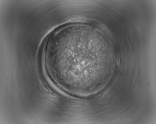 X0000056340388200509091536