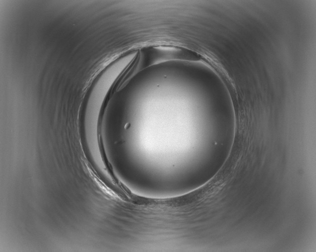X0000056340389200509091536