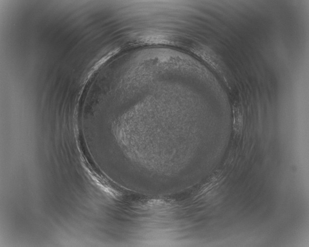 X0000056340390200509091536