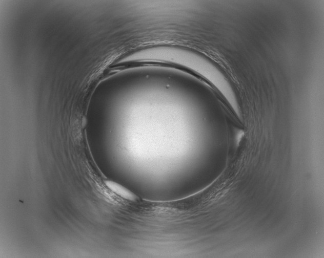 X0000056340393200509091536