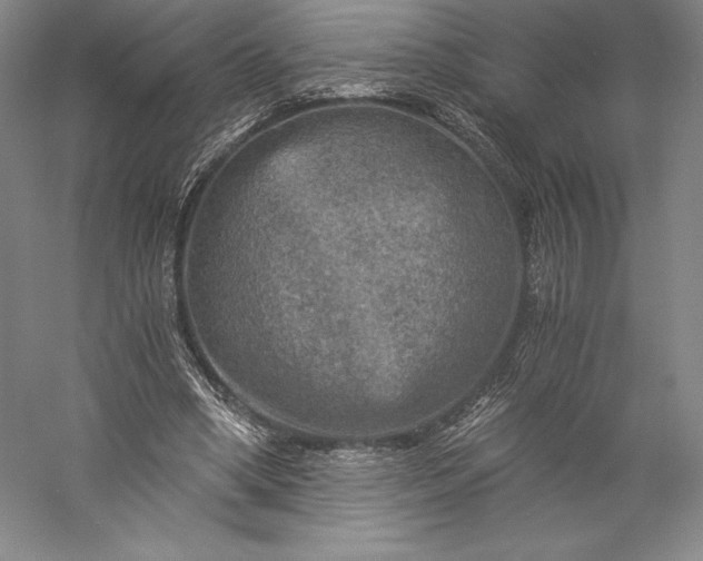 X0000056340394200509091536