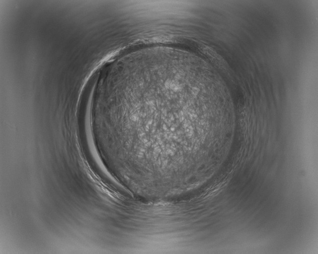 X0000056340395200509091536