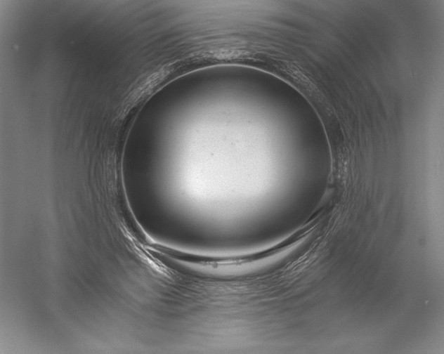X0000056340397200509091535
