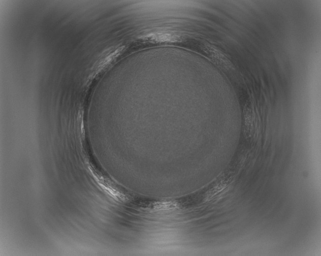 X0000056340398200509091535