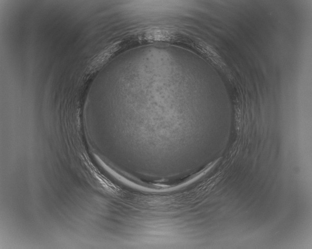 X0000056340401200509091535