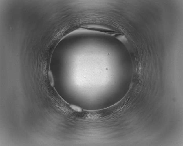 X0000056340403200509091535