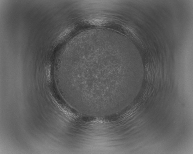 X0000056340404200509091535