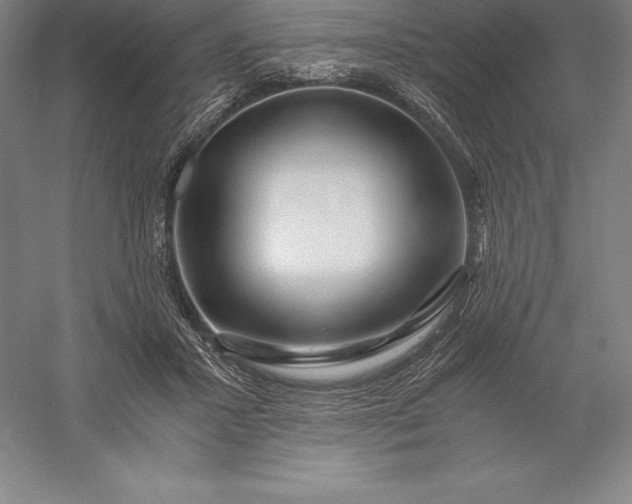 X0000056340407200509091535
