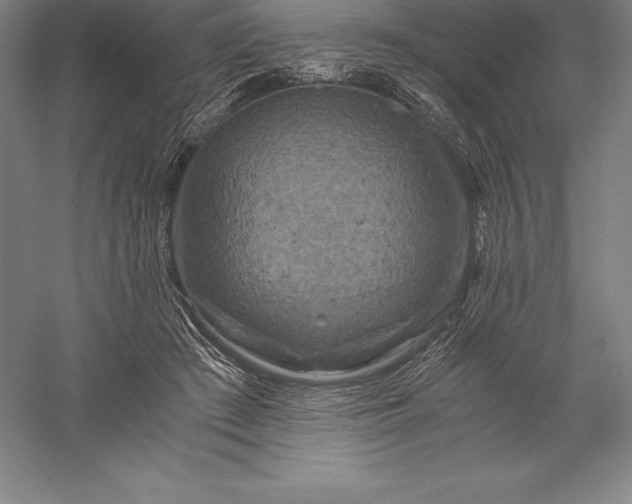 X0000056340409200509091535