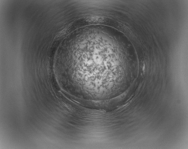 X0000056340416200509091535