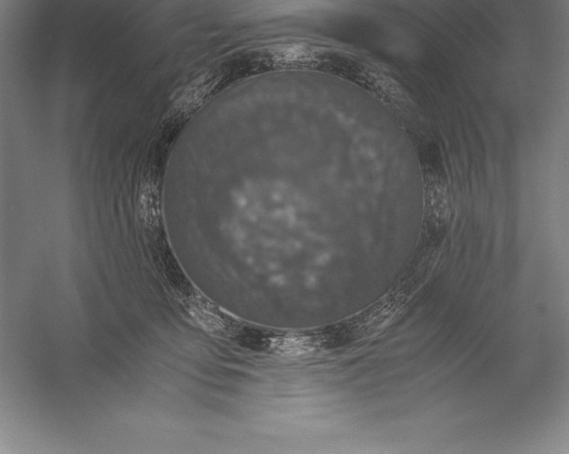 X0000056340419200509091535