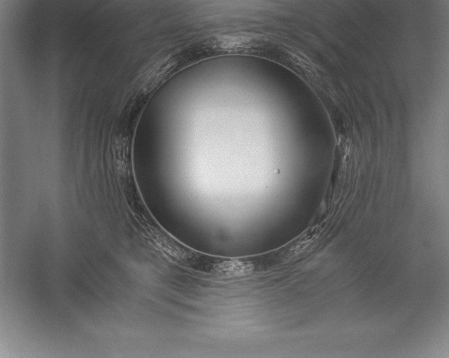 X0000056340421200509091535