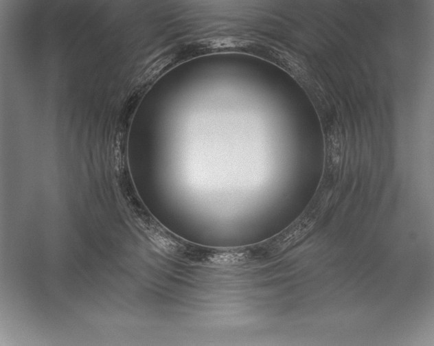 X0000056340422200509091535