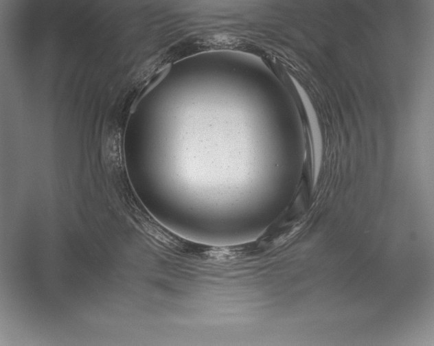 X0000056340425200509091535