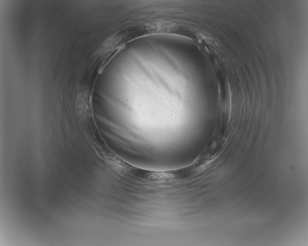 X0000056340429200509091535