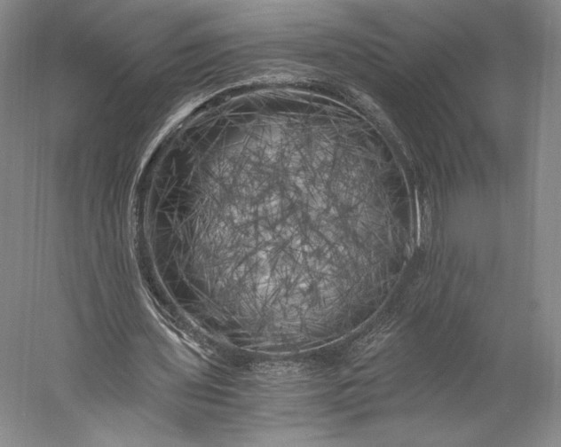 X0000056340435200509091534