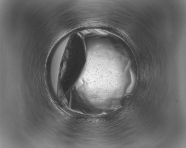 X0000056340439200509091534