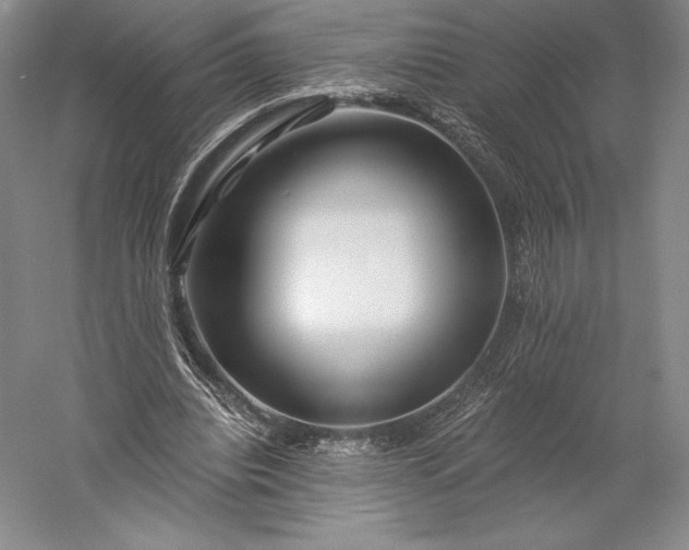 X0000056340440200509091534