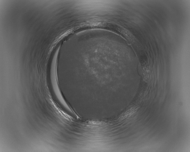 X0000056340442200509091534