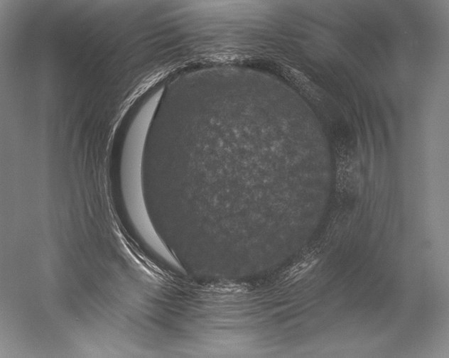 X0000056340443200509091534