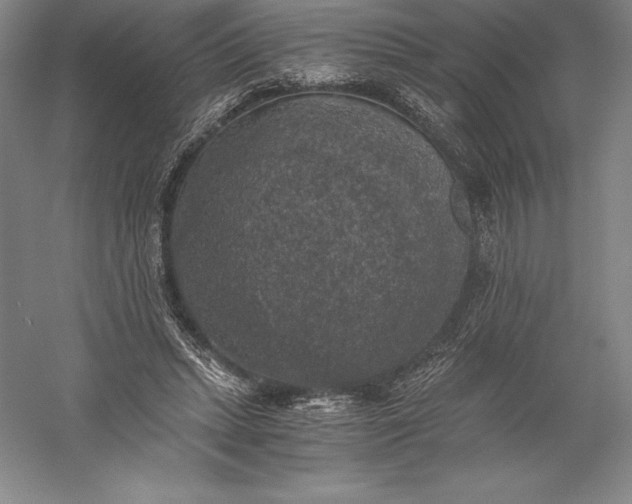 X0000056340447200509091534