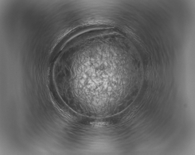 X0000056340448200509091534