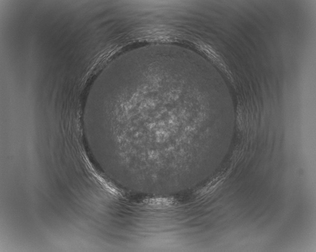 X0000056340449200509091534