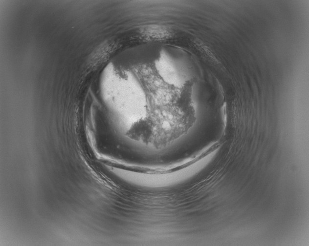 X0000056340451200509091534