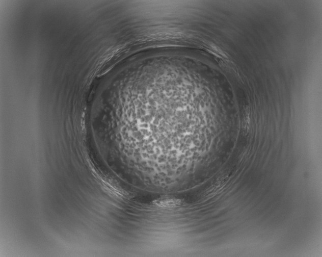 X0000056340452200509091534
