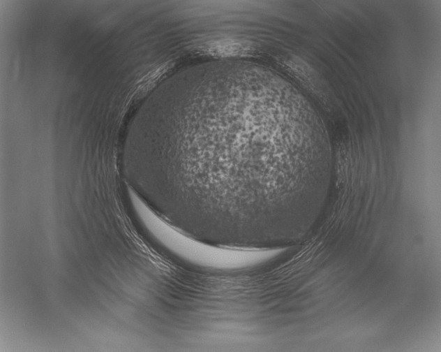 X0000056340453200509091534
