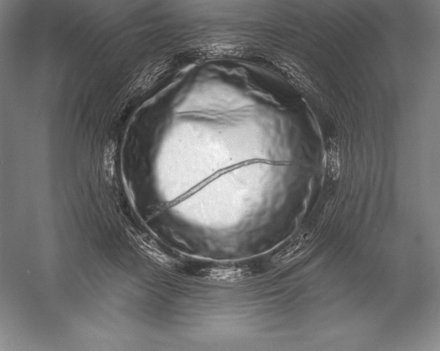 X0000056340458200509091534