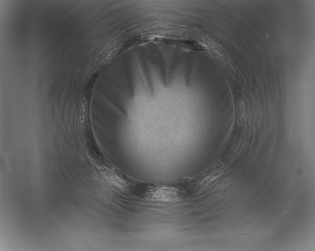 X0000056340463200509091535