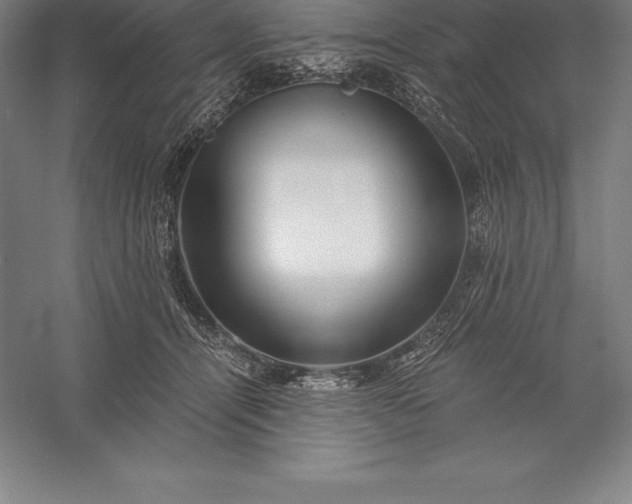 X0000056340464200509091535