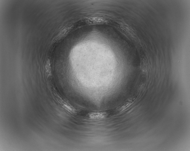 X0000056340465200509091535