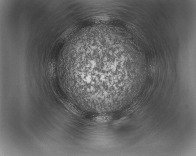 X0000056340468200509091535
