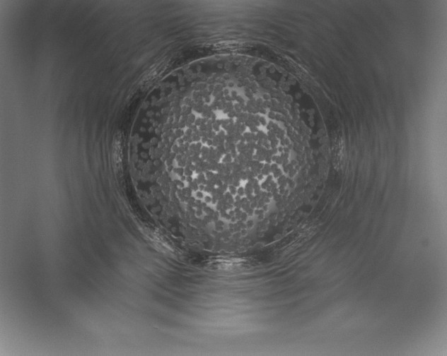 X0000056340472200509091535