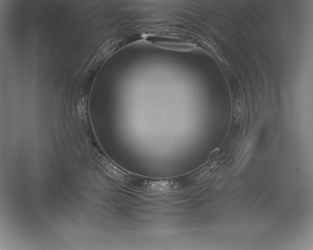 X0000056340473200509091535