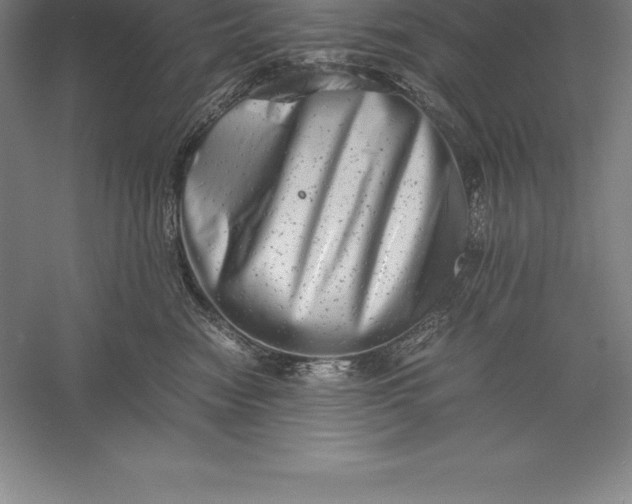 X0000056340474200509091535