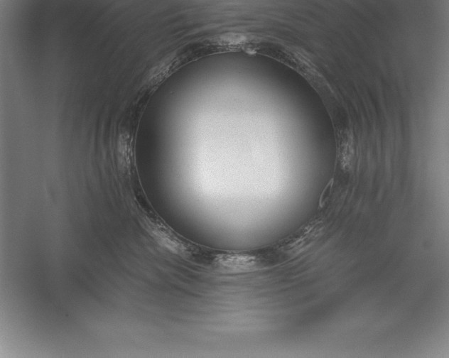 X0000056340476200509091535