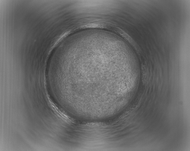 X0000056340482200509091534