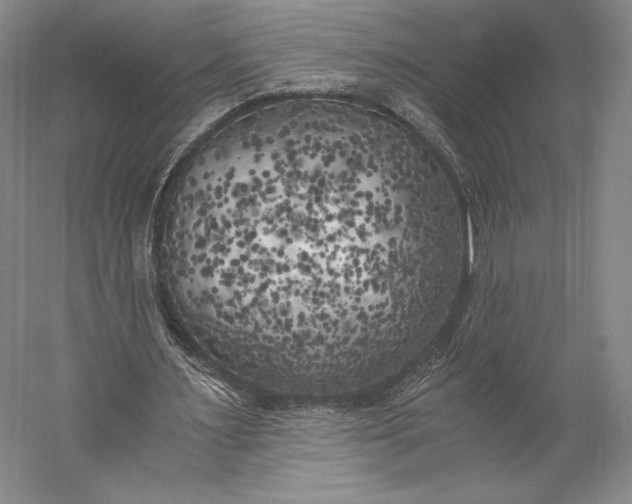 X0000056340483200509091534